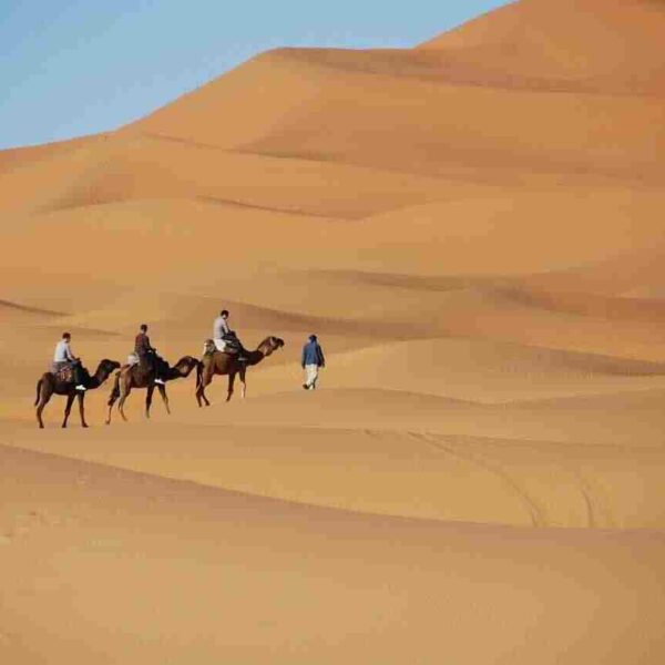 7 days tour from Casablanca to Marrakech