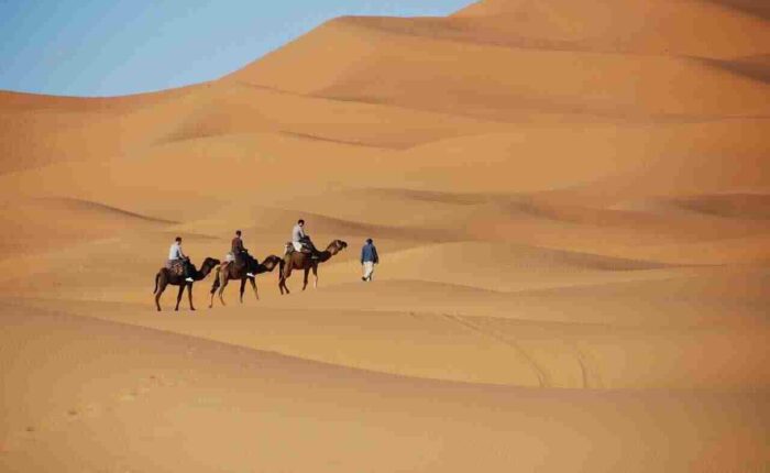 7 days tour from Casablanca to Marrakech