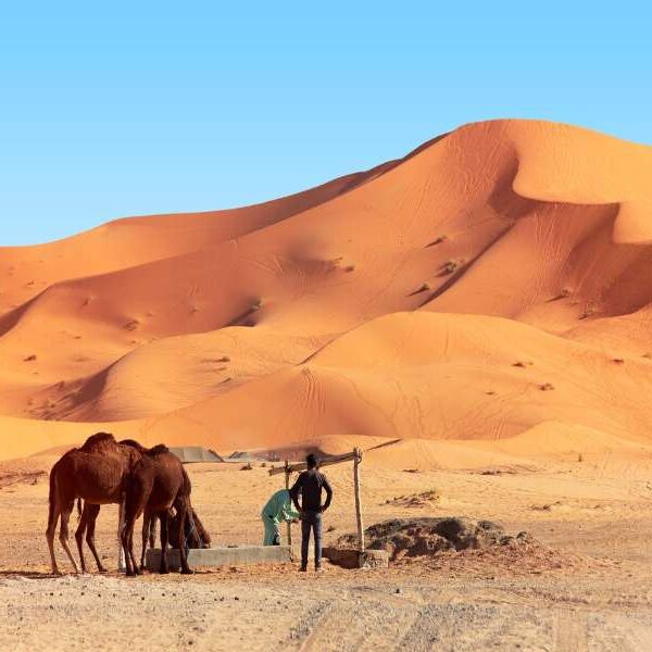 Marrakech to Fes desert tour 4 days