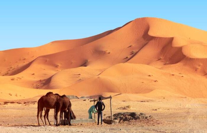 Marrakech to Fes desert tour 4 days