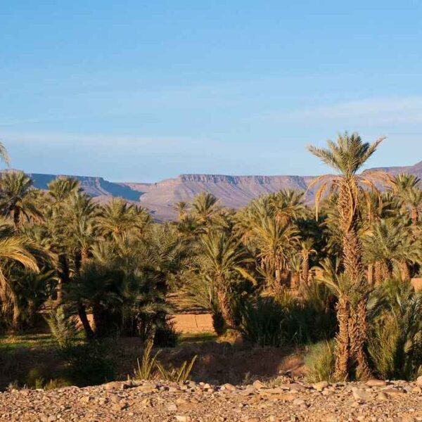 2 days tour from Fes to Merzouga