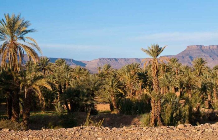 2 days tour from Fes to Merzouga