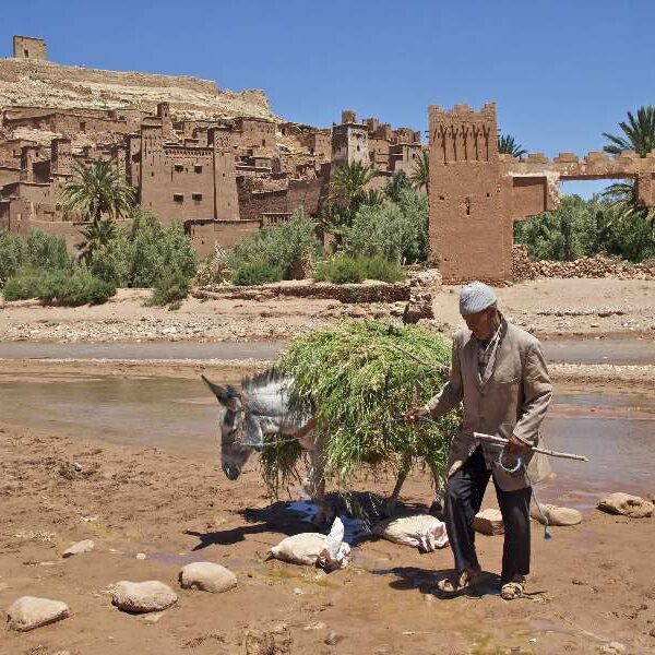 4 Days Tour from Fes to Marrakech