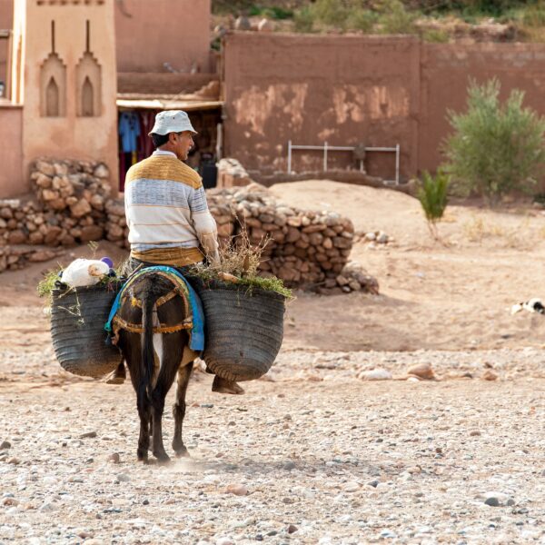 4 days tour from Marrakech to Fes