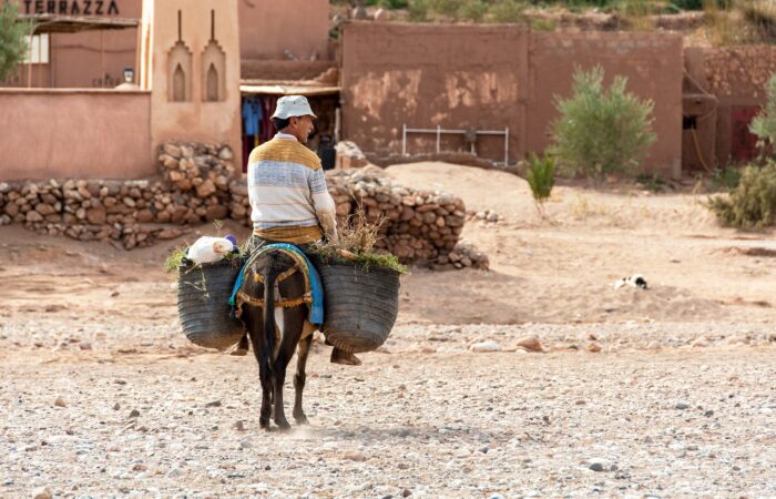 4 days tour from Marrakech to Fes