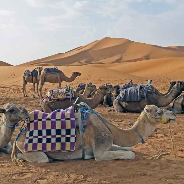 2 days tour from Marrakech to Merzouga