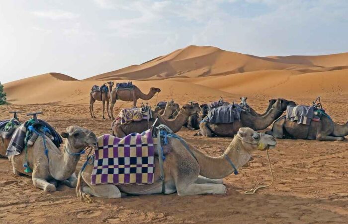 2 days tour from Marrakech to Merzouga