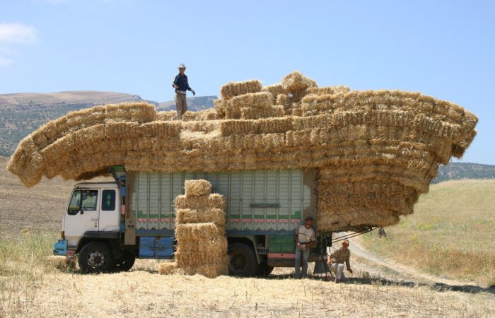 2 days tour from Fes to Merzouga