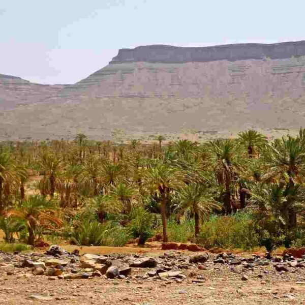 2 days tour from Marrakech to Merzouga