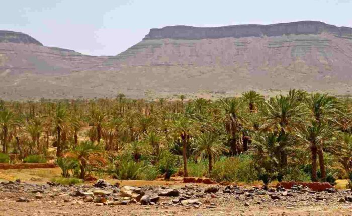 2 days tour from Marrakech to Merzouga