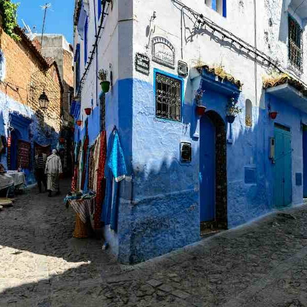 robert-brands-1DPYAbGJstQ-unsplash-fotor-202501257249