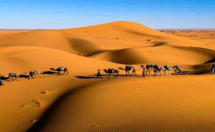 8 days Itinerary Morocco