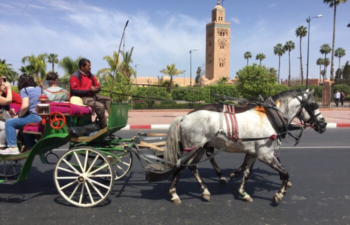 14 days tour from Casablanca to Casablanca