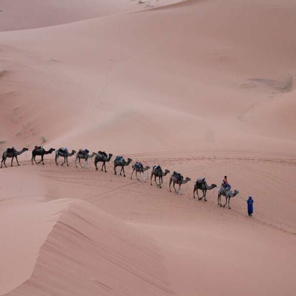 morocco 2 weeks itinerary