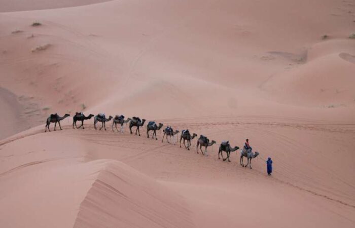morocco 2 weeks itinerary