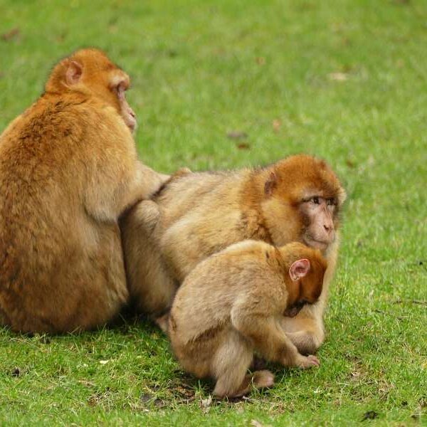 3 days tour from fes to Marrakech