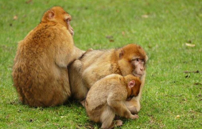 3 days tour from fes to Marrakech