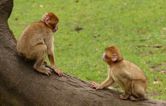 Morocco Sahara Desert trip 3 days