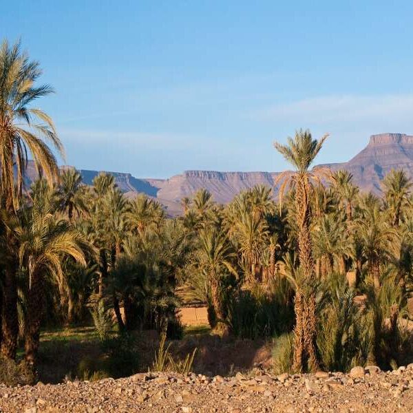2 days tour from Fes to Merzouga