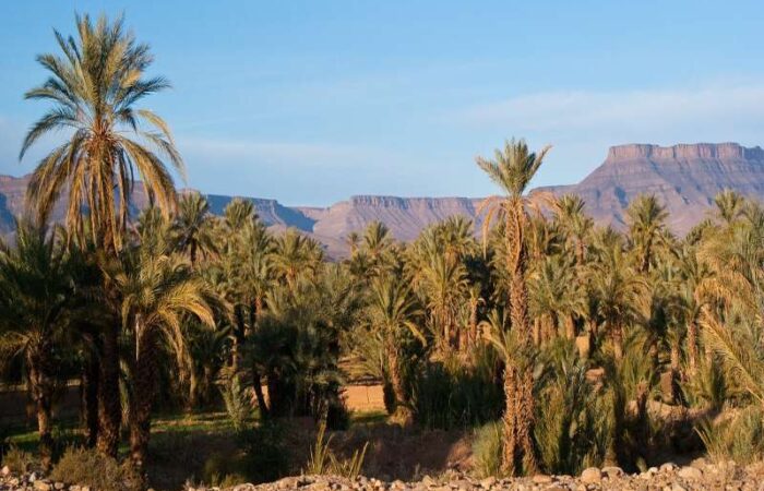 2 days tour from Fes to Merzouga