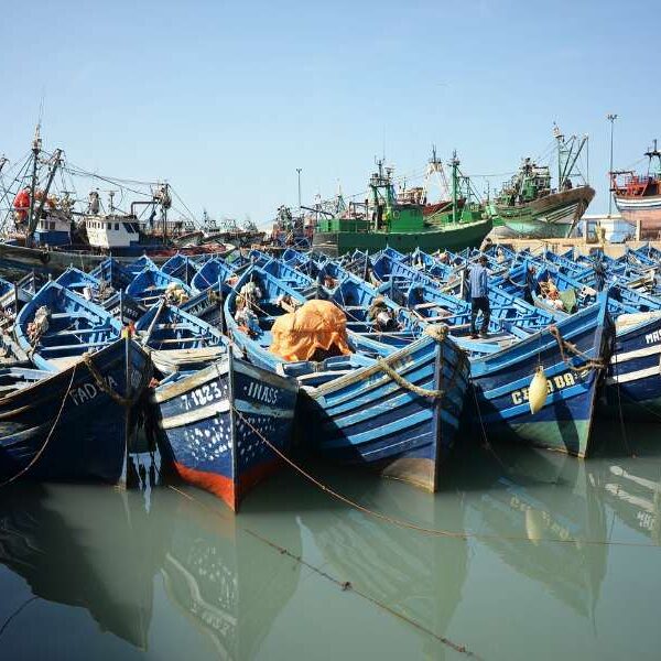 10 day tour from Marrakech