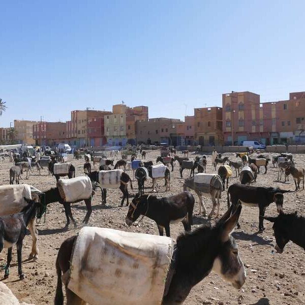 5 days tour from Fes to Marrakech