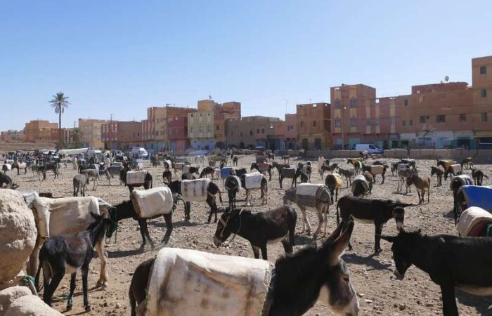 5 days tour from Fes to Marrakech