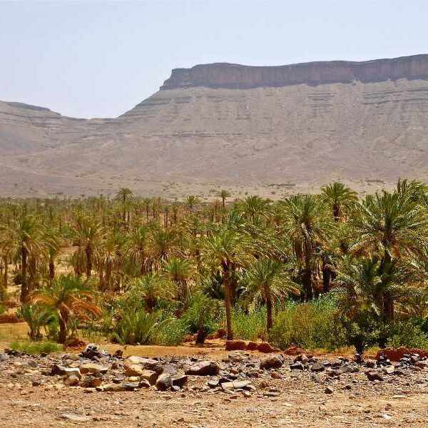 Morocco 10 day itinerary