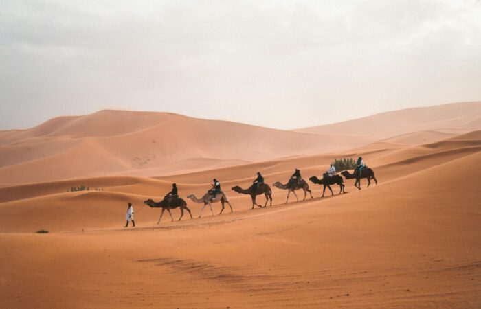 2 days tour from Fes to Marrakech