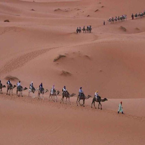 Fes to Marrakech desert tour 2 days
