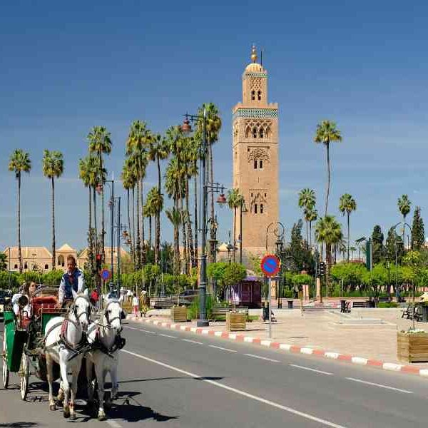 7 days desert tour from Casablanca