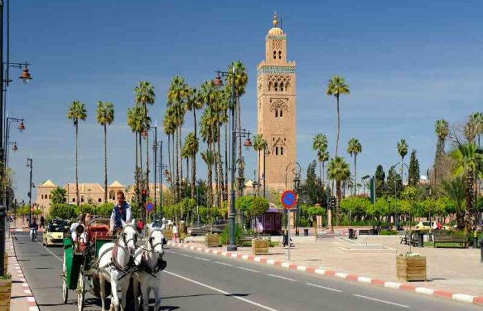 7 days desert tour from Casablanca