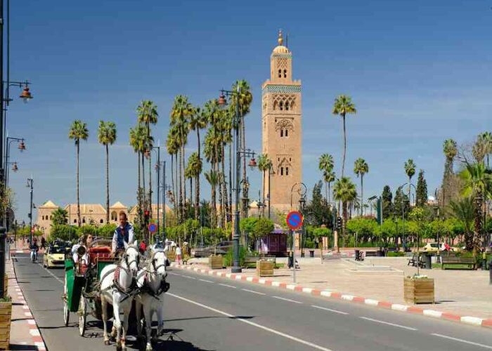 7 days desert tour from Casablanca