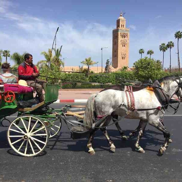 Morocco 12 day itinerary