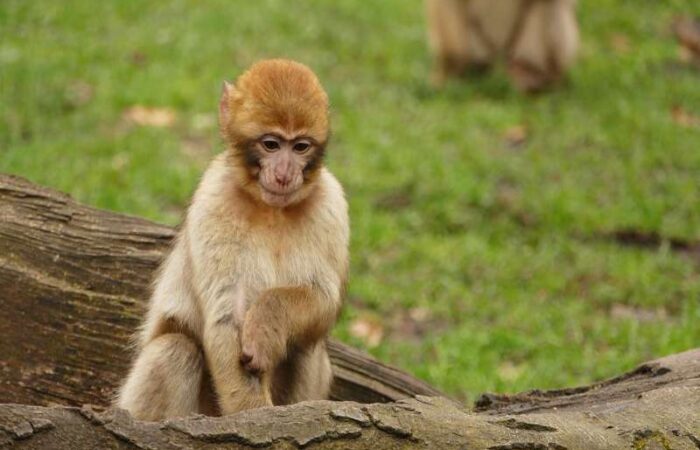 4 days tour from Marrakech