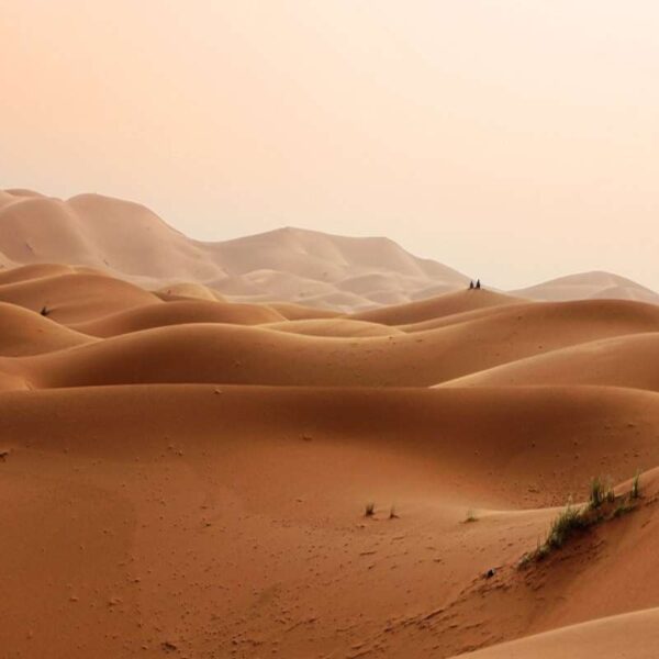 marrakech to zagora desert tour