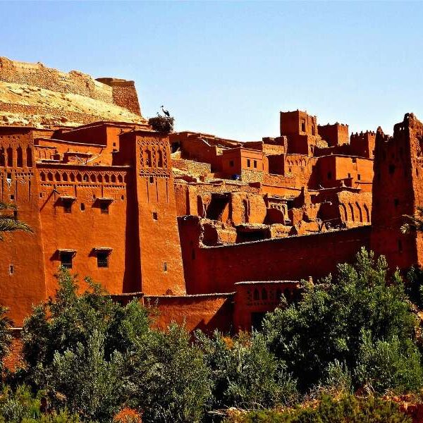 marrakech to zagora desert tour
