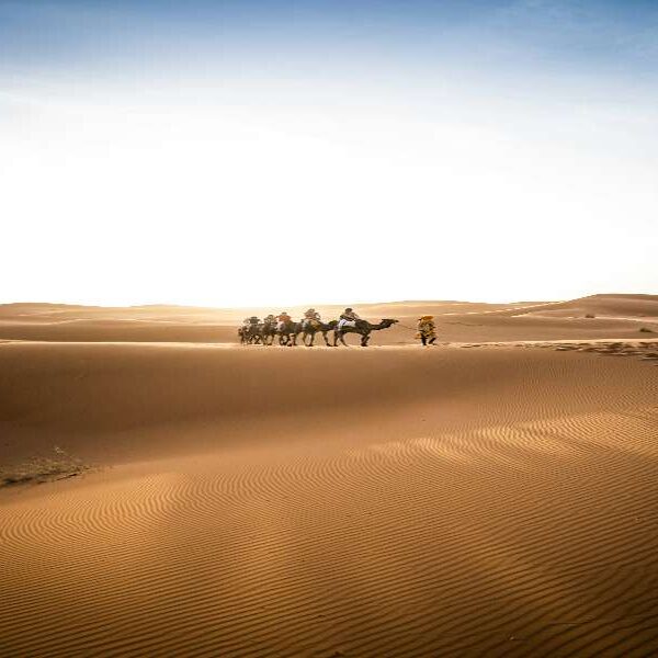 4 days tour from Marrakech