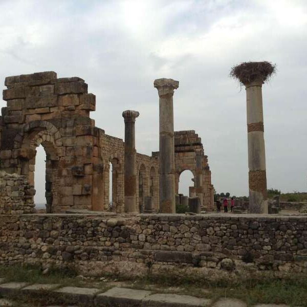 day trip from Fes to volubilis and meknes