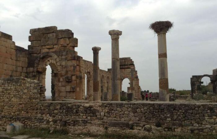 day trip from Fes to volubilis and meknes
