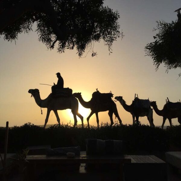 newsletter-2032544_1920-fotor-2025010804244