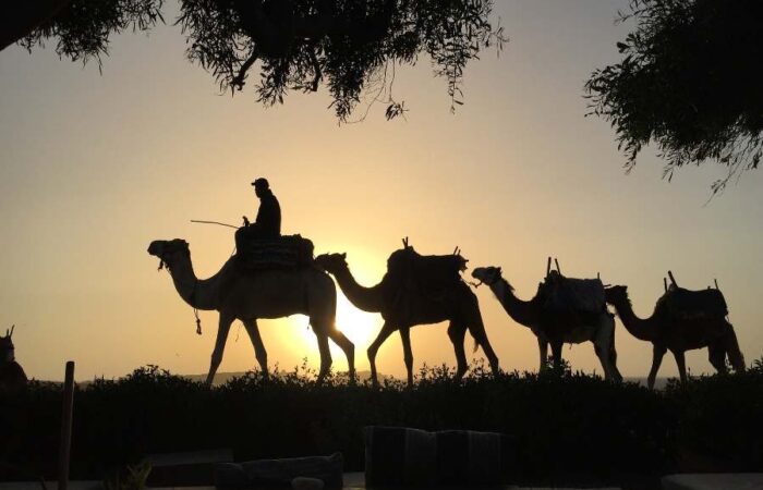 newsletter-2032544_1920-fotor-2025010804244