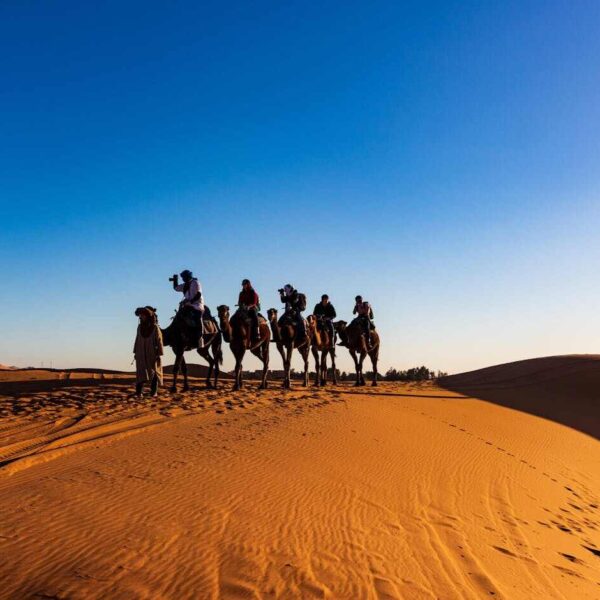 marrakech to zagora tour