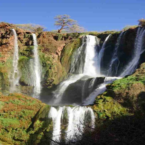 Day trip from Marrakech to Ouzoud waterfalls