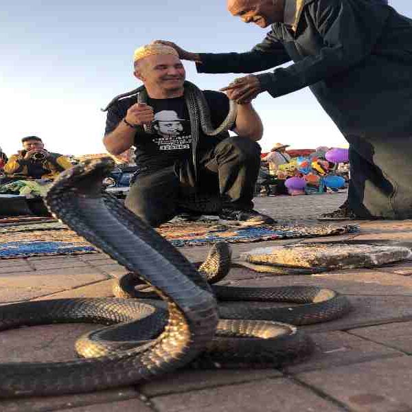 7 day tour from Agadir to Marrakech