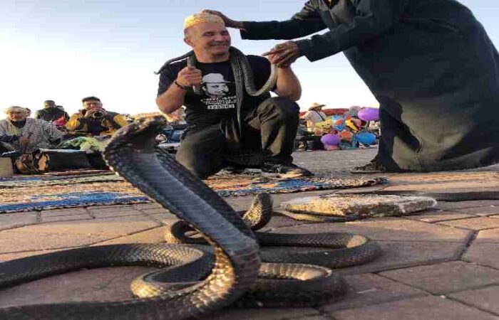 7 day tour from Agadir to Marrakech