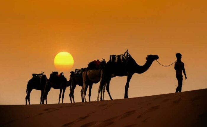 3 days tour from Marrakech to Fes