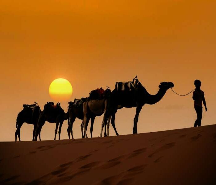 3 days tour from Marrakech to Fes