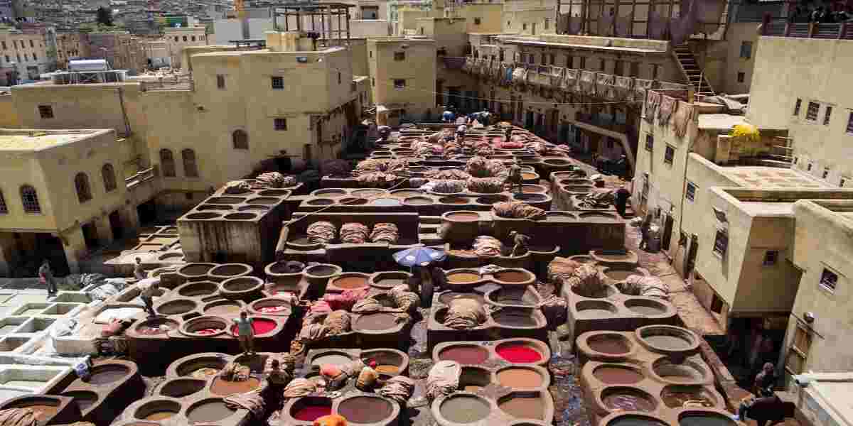 things to do in Fes