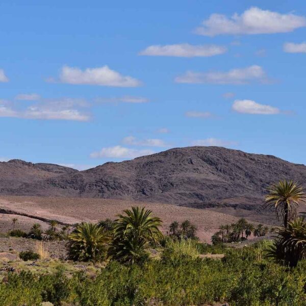 2 Days Desert Tour from Marrakech to Zagora